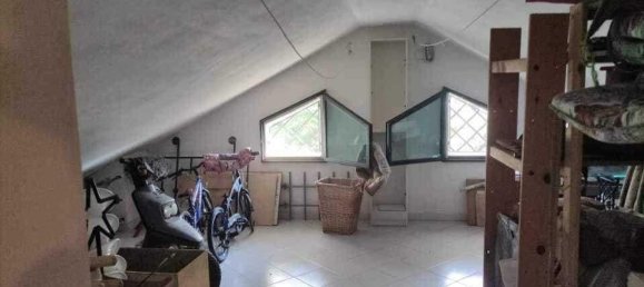 5-Zimmer Haus in Massa, Italy, Nr. 114039 13