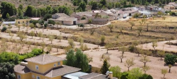 5 Schlafzimmer Villa in Pinoso, Spain, Nr. 84015 2