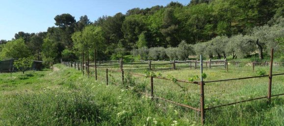 12 rooms Land in San Bartolomeo al Mare, Italy No. 7877 13