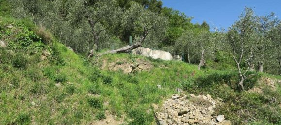 12 rooms Land in San Bartolomeo al Mare, Italy No. 7877 8