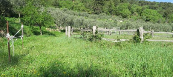 12 rooms Land in San Bartolomeo al Mare, Italy No. 7877 5