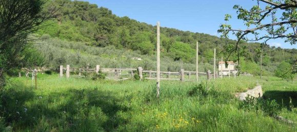 12 rooms Land in San Bartolomeo al Mare, Italy No. 7877 15