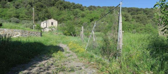 12 rooms Land in San Bartolomeo al Mare, Italy No. 7877 16