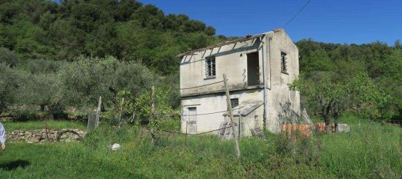 12 rooms Land in San Bartolomeo al Mare, Italy No. 7877 17