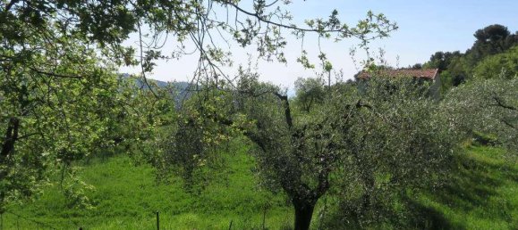 12 rooms Land in San Bartolomeo al Mare, Italy No. 7877 10