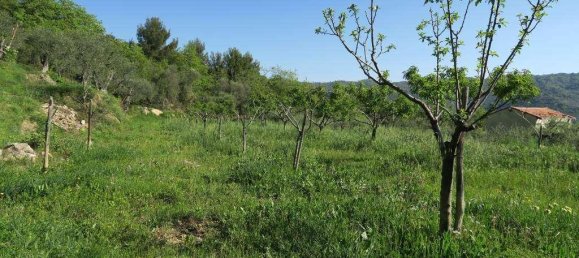 12 rooms Land in San Bartolomeo al Mare, Italy No. 7877 7