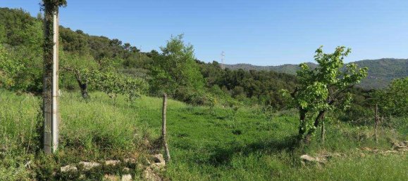 12 rooms Land in San Bartolomeo al Mare, Italy No. 7877 14