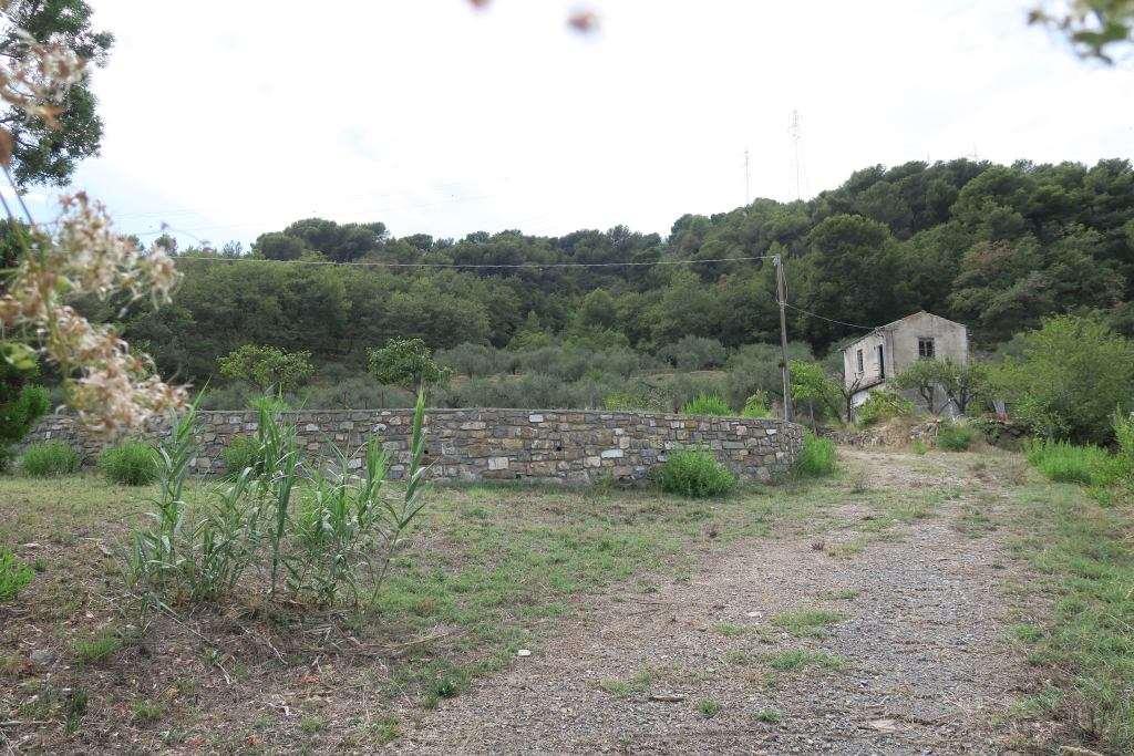 12 rooms Land in San Bartolomeo al Mare, Italy No. 7877