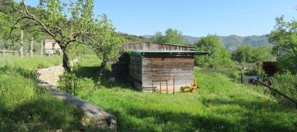 12 rooms Land in San Bartolomeo al Mare, Italy No. 7877 4