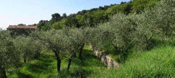 12 rooms Land in San Bartolomeo al Mare, Italy No. 7877 9