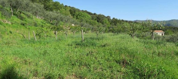 12 rooms Land in San Bartolomeo al Mare, Italy No. 7877 6