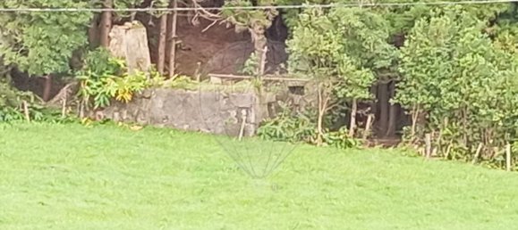 Casa T2 em Vila do Porto, Portugal N.º 47342 6