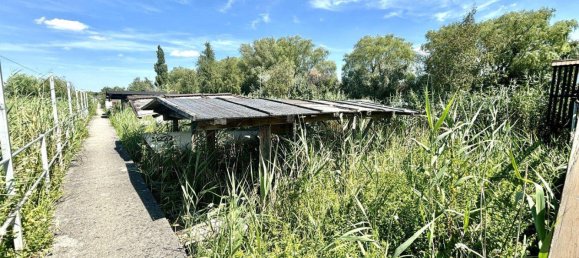  قطعة أرض في Weiden am See, Austria 22متر مربع رقم 63562 11