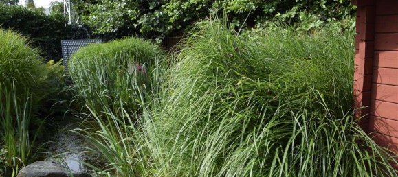 Здание с 5 комнатами в Cuxhaven, Германия № 310275 31