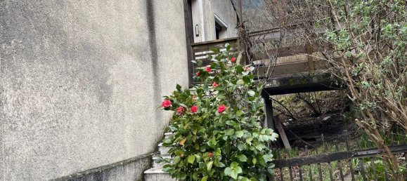 Casa de 2 dormitorios en Occitanie, France No. 335073 14