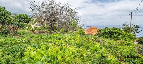 Дом с 4 спальнями в Санта Круш, Португалия № 25967 7