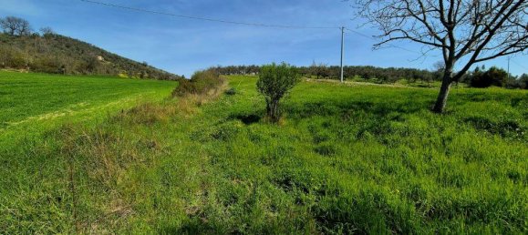 5-Zimmer Villa in Loreto Aprutino, Italy, Nr. 41015 33