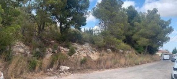 804m² Land in Valencia, Spain No. 175125 5