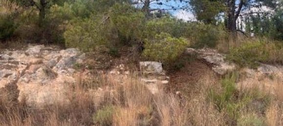 804m² Land in Valencia, Spain No. 175125 2