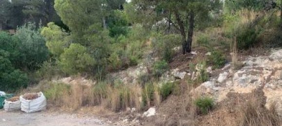 804m² Land in Valencia, Spain No. 175125 6