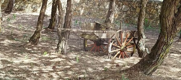 Дом с 4 спальнями в Колариш, Португалия № 48124 13