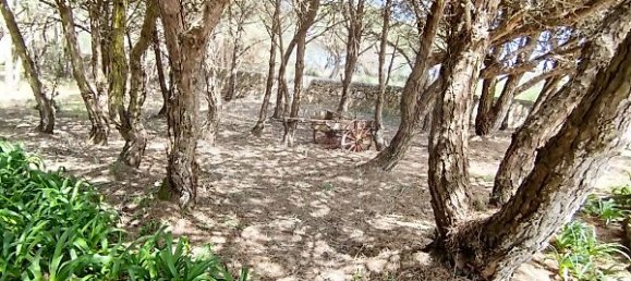 Дом с 4 спальнями в Колариш, Португалия № 48124 14