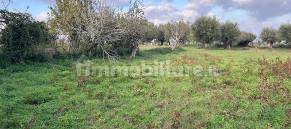 1348m² Land in Briatico, Italy No. 123612 3