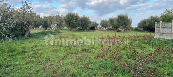 1348m² Land in Briatico, Italy No. 123612 9