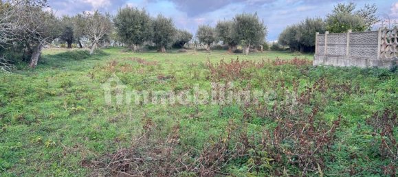 1348m² Land in Briatico, Italy No. 123612 8