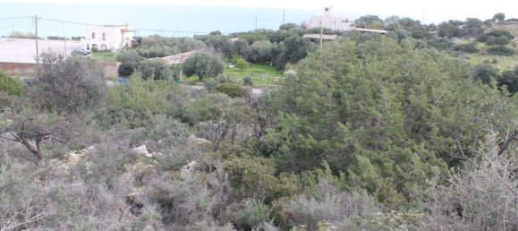 Hôtel à Agios Nikolaos, Greece 8205m² No. 5158 7