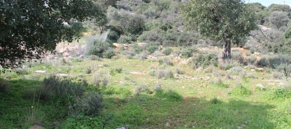 Hôtel à Agios Nikolaos, Greece 8205m² No. 5158 6