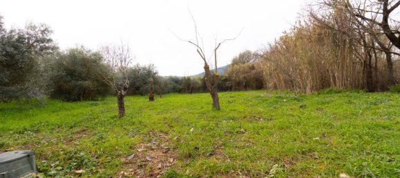 10 bedrooms Villa in Maenza, Italy No. 331848 26