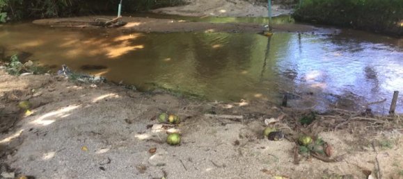 Коммерческая недвижимость 4.800м² в Кхок Клой, Таиланд № 8054 7