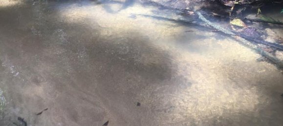 Коммерческая недвижимость 4.800м² в Кхок Клой, Таиланд № 8054 3