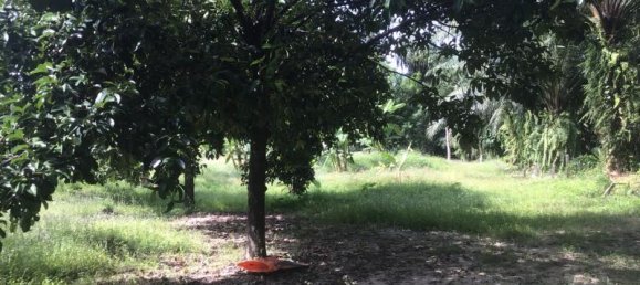 Коммерческая недвижимость 4.800м² в Кхок Клой, Таиланд № 8054 5