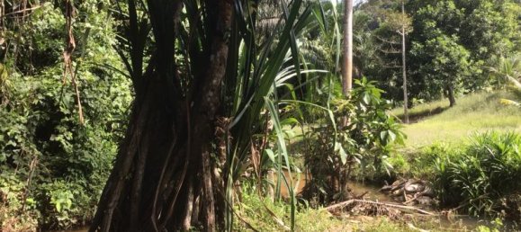 Коммерческая недвижимость 4.800м² в Кхок Клой, Таиланд № 8054 13