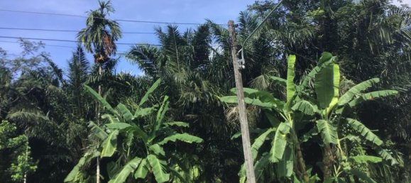 Коммерческая недвижимость 4.800м² в Кхок Клой, Таиланд № 8054 15