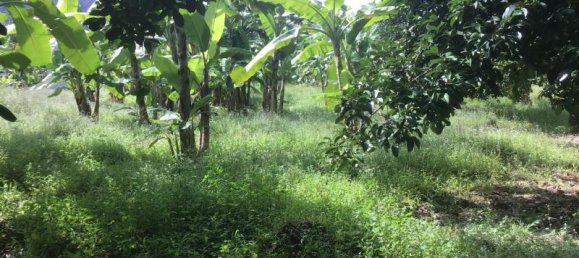 Коммерческая недвижимость 4.800м² в Кхок Клой, Таиланд № 8054 8