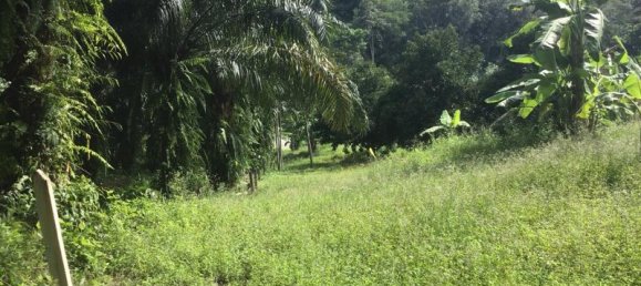 Коммерческая недвижимость 4.800м² в Кхок Клой, Таиланд № 8054 11