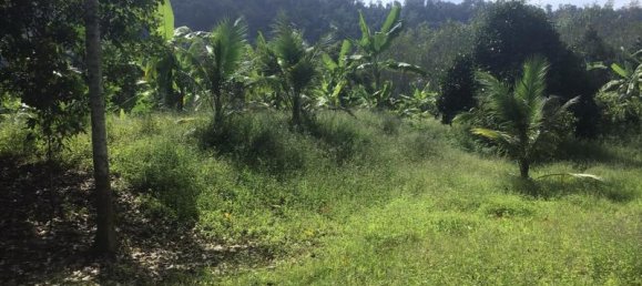 Коммерческая недвижимость 4.800м² в Кхок Клой, Таиланд № 8054 9