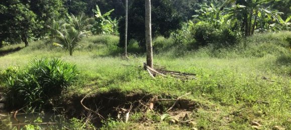 Коммерческая недвижимость 4.800м² в Кхок Клой, Таиланд № 8054 14