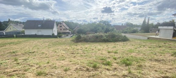  Land in Jettingen, France No. 261337 3