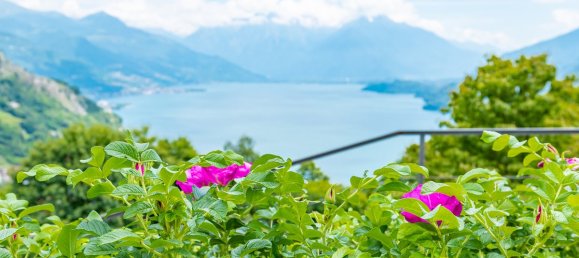 3 غرف نوم منزل في Pianello del Lario, Italy رقم 97510 20