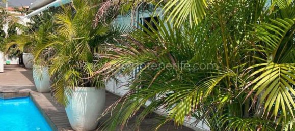 4 Schlafzimmer Villa in Adeje, Spain, Nr. 126167 18