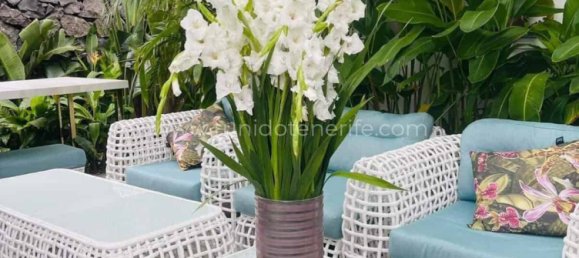 4 Schlafzimmer Villa in Adeje, Spain, Nr. 126167 19