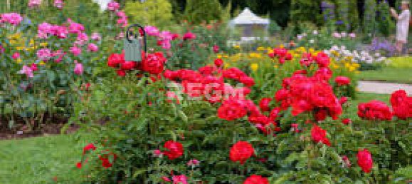 Casa T2 em Orleans, France N.º 81545 10