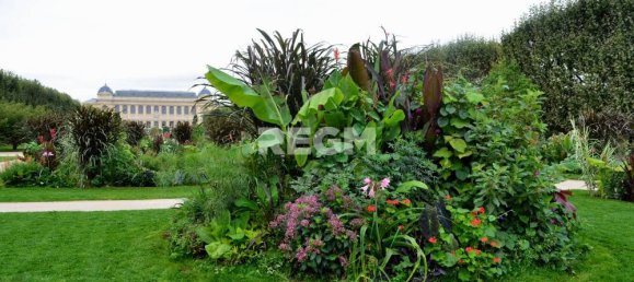 Casa T2 em Orleans, France N.º 81545 18