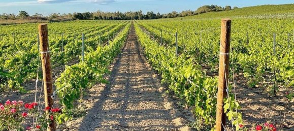 8 bedrooms House in Castagneto Carducci, Italy No. 377987 40