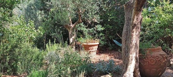 8 bedrooms House in Castagneto Carducci, Italy No. 377987 37