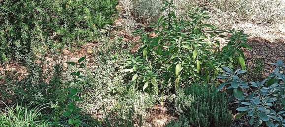 8 bedrooms House in Castagneto Carducci, Italy No. 377987 38